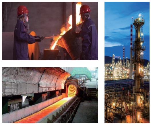 1731562357639007.jpg 3.jpg